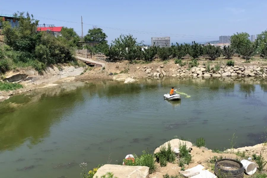 鱼塘从浑浊到清爽,聚博润只用